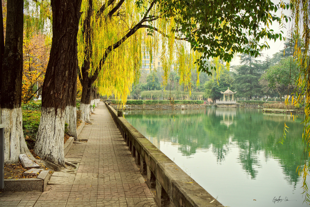 Fall is the best season to visit Chengdu parks